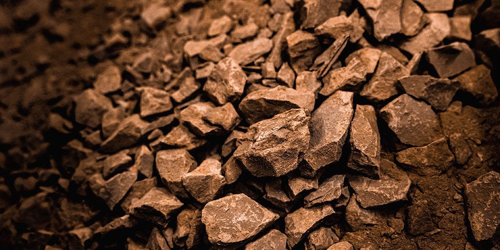 Cacao e semi oleosi